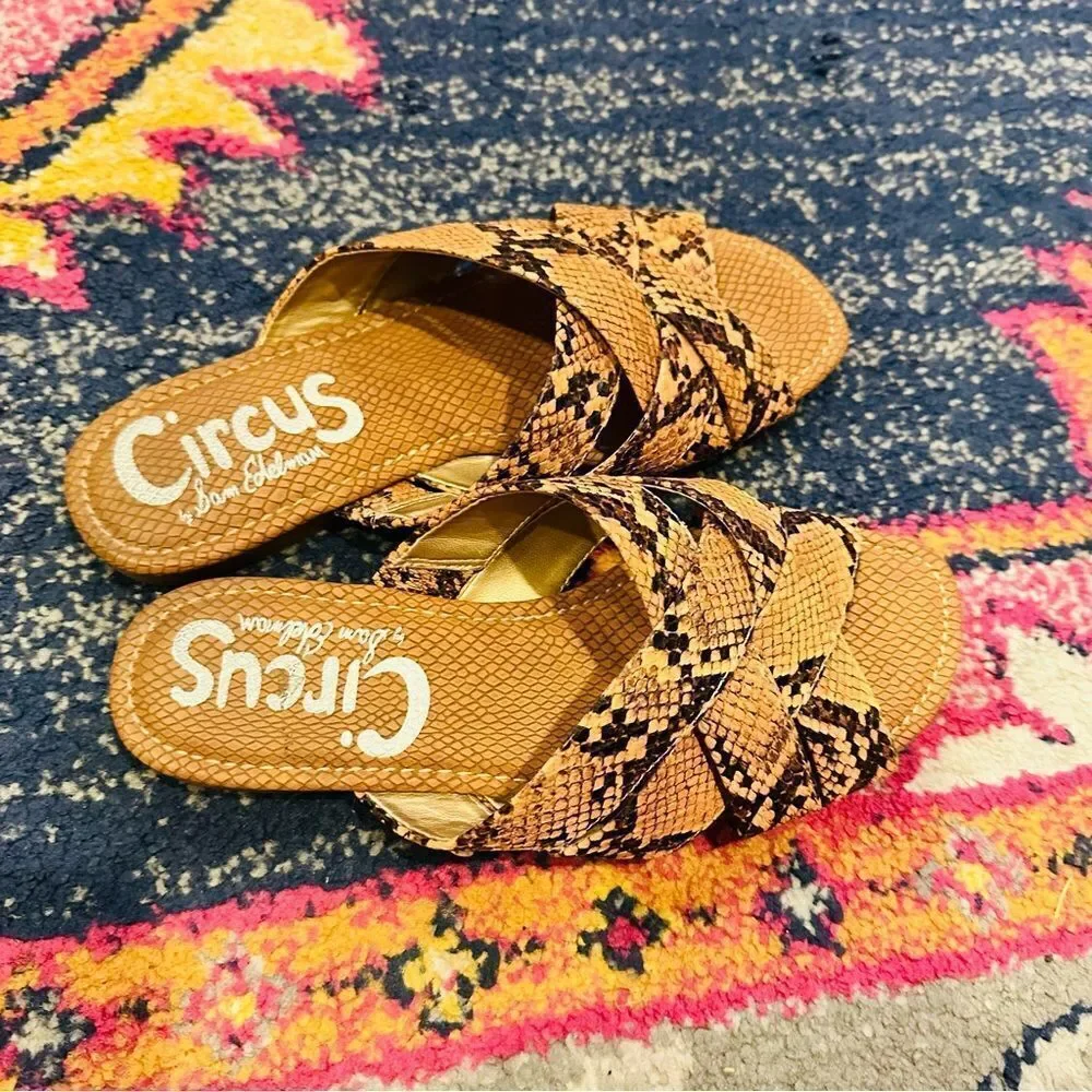 EUC Circus by Sam Edelman Burnett Snake Print Slides 7M